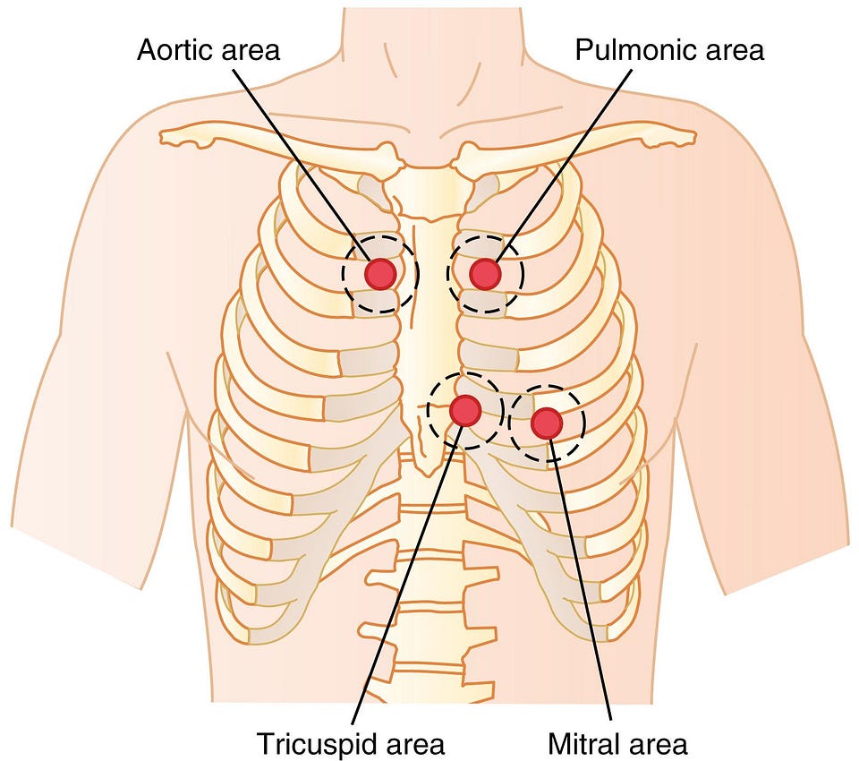 Heart Valves and Heart Sounds; Valvular and Congenital Heart Defects -  Clinical Tree