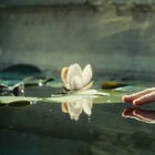 Water’s own royalty