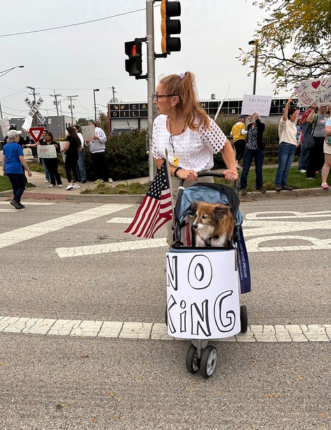 Various protesters and dogs with signs at a NO KINGS rally