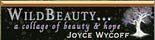 WildBeauty 