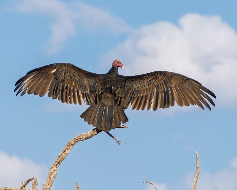 20250906-Manville-7-Edit.jpg 20250906-Manville-7-Edit.jpg