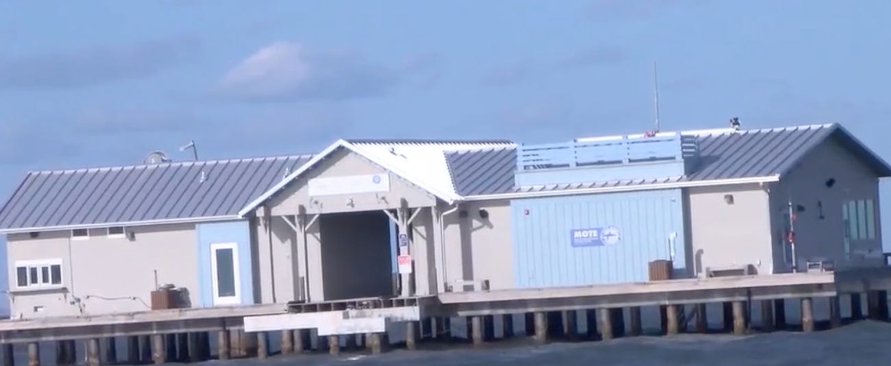 Reconstruction Begins on Anna Maria Island Pier, Businesses Eager for Return of Visitors