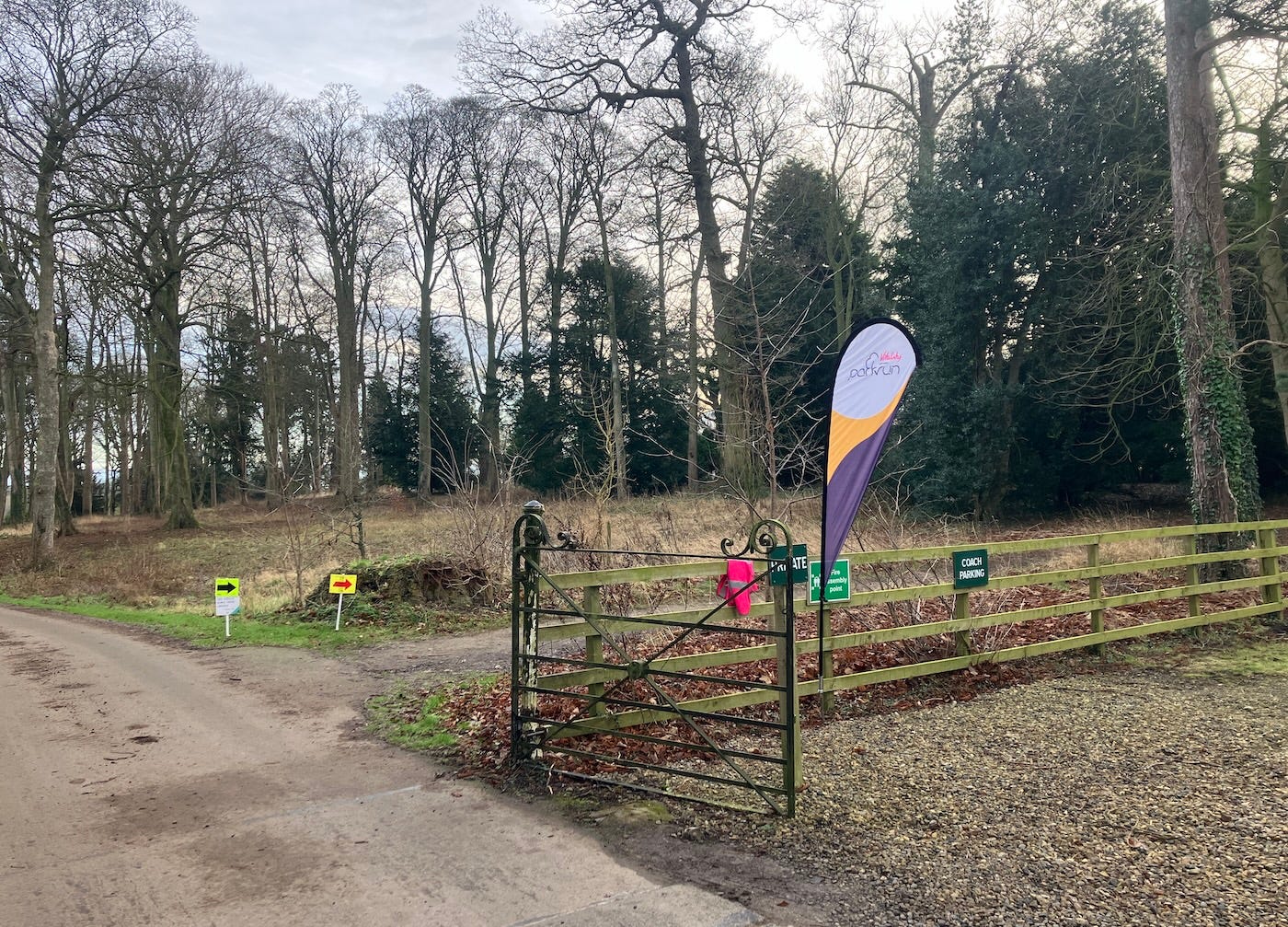 A flag and signs point along a path A flag and signs point along a path