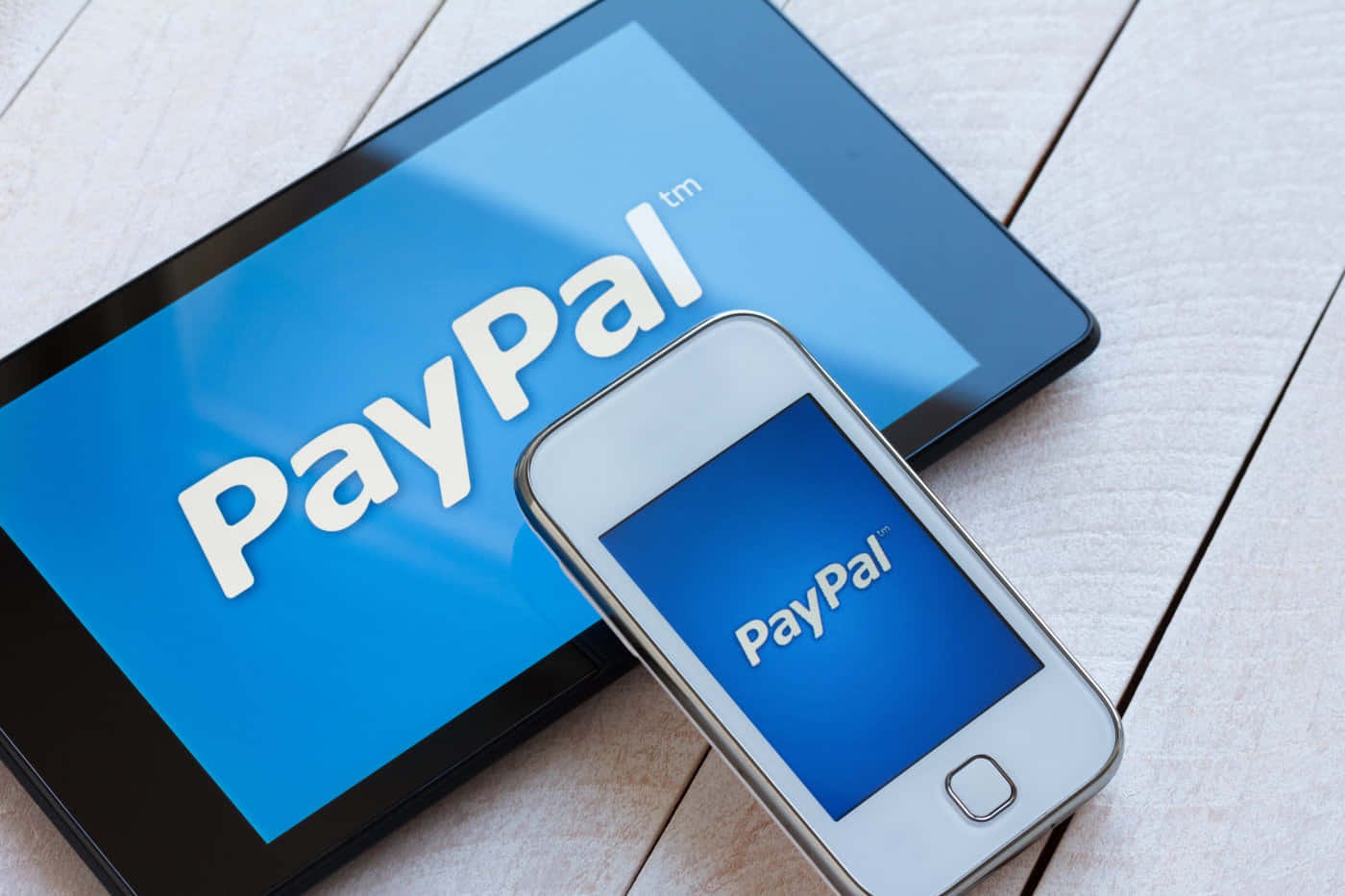Download Paypal Logo On A Cell Phone | Wallpapers.com
