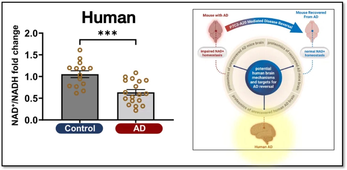 glp-1 alzheimer's clinical trials GLP-1s for Alzheimer's. Here's What the Data Say