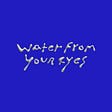 Water From Your Eyes's avatar