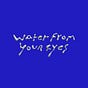Water From Your Eyes's avatar