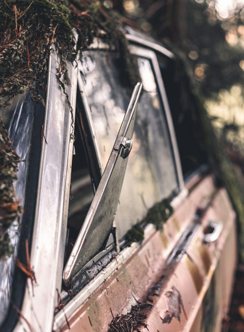 an old broken down car in the woods an old broken down car in the woods