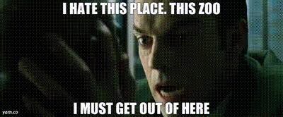 YARN | I HATE THIS PLACE. THIS ZOO I MUST GET OUT OF HERE | The Matrix |  Video clips by quotes | 3b78194b | 紗