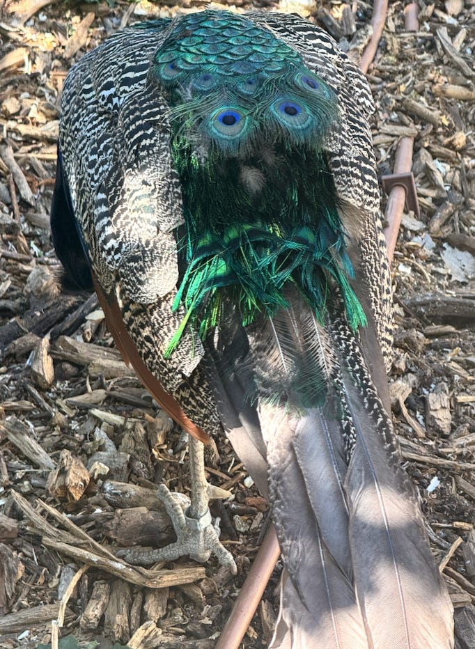 Capture d’écran 2026-03-15 à 16.57.39.png Capture d’écran 2026-03-15 à 16.57.39.png