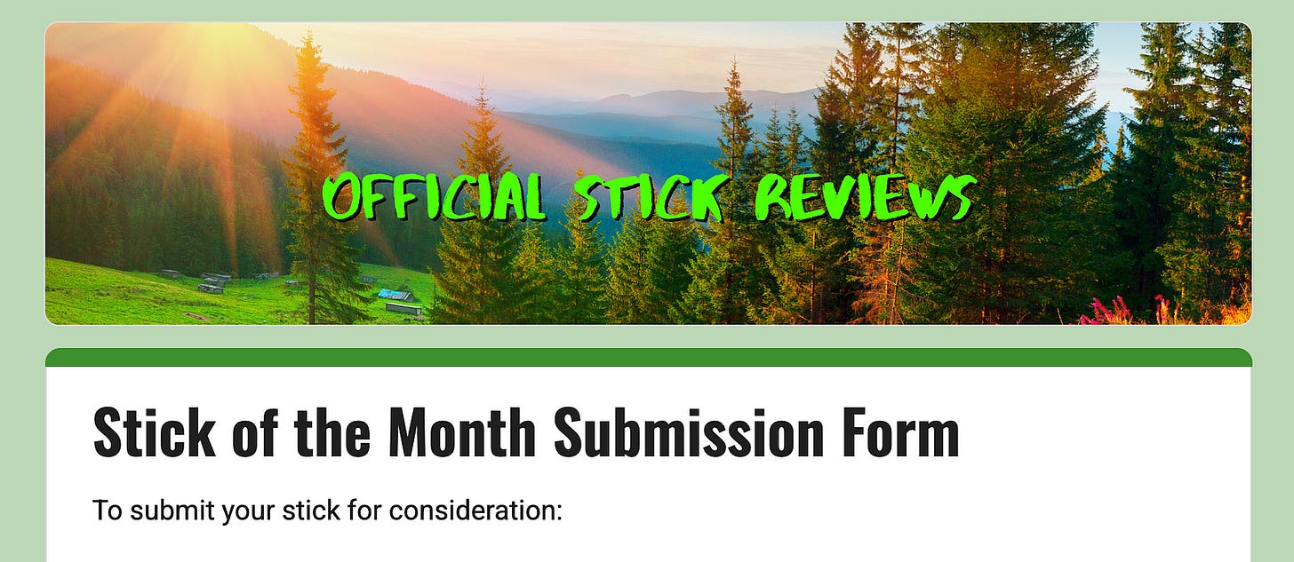a screen shot from the google form for offical stick reviews