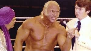 Superstar Billy Graham & Grand Wizard ...