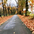 November: tussen de pompoenen en kerstballen
