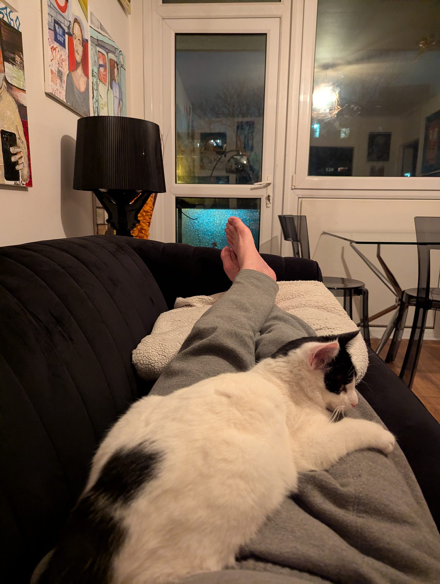 A white and black cat lying on the legs of a man, in a living room that includes paintings on the wall, a black lightshade and windows into the night. A white and black cat lying on the legs of a man, in a living room that includes paintings on the wall, a black lightshade and windows into the night.