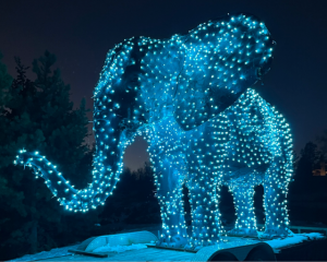 Edmonton Playgrounds Holiday Light-ups and Santa Parades Zoominescence