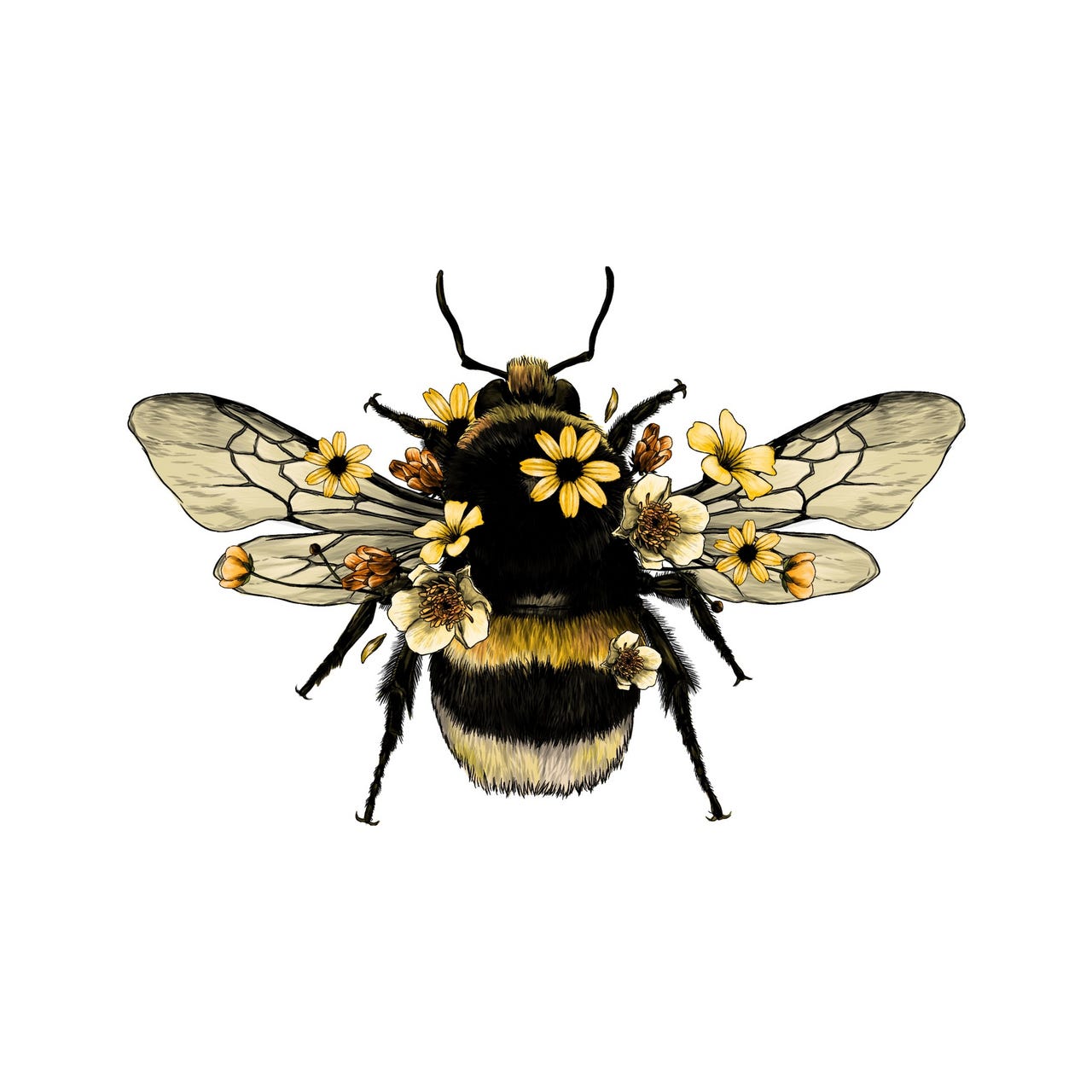 Eco fantasy with Andie