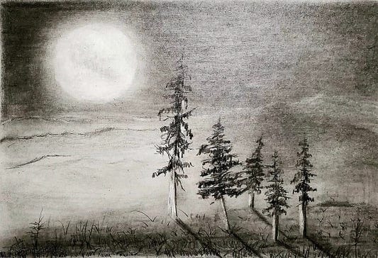 A charcoal sketch of pine trees in moonlight by Clifford Jones A charcoal sketch of pine trees in moonlight by Clifford Jones