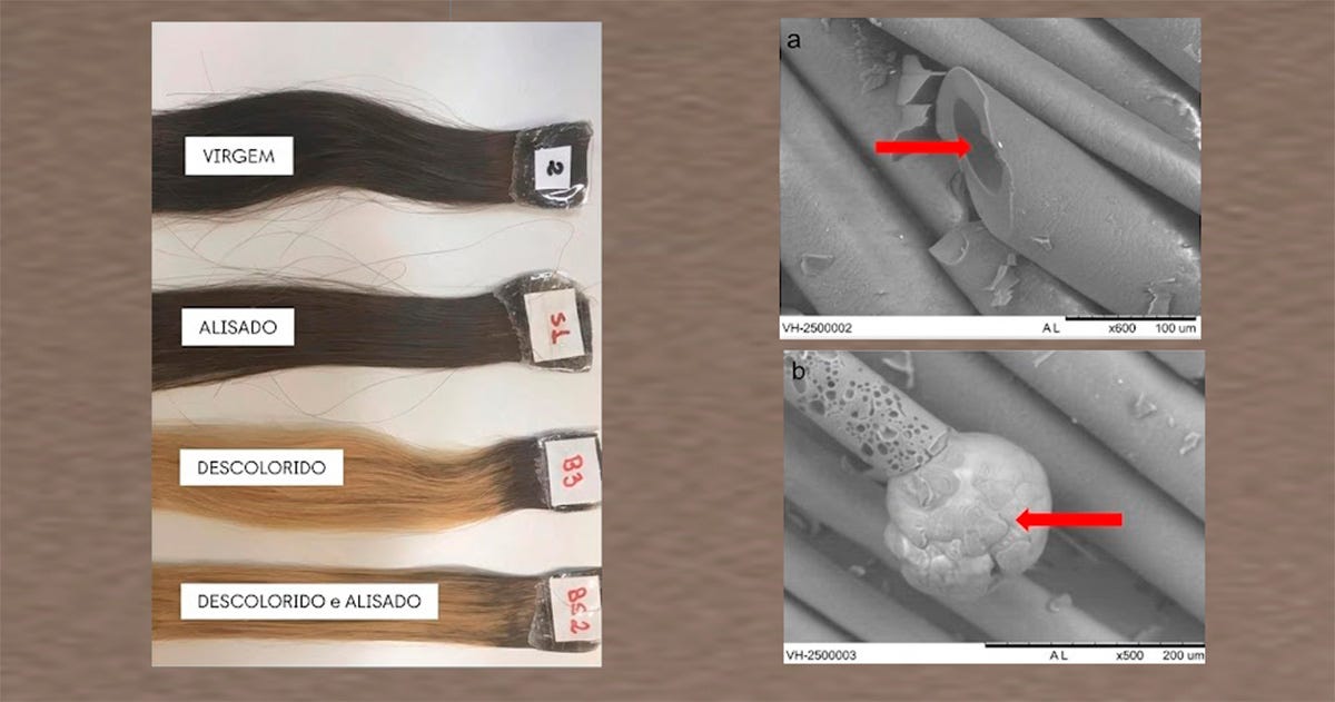 Quatro mechas de cabelo dispostas horizontalmente sobre um fundo branco, cada uma representando um estado de processo químico diferente dos fios (virgem, alisado, descolorido e descolorido e alisado). Em destaque, imagem cinza da estrutura danificada do cabelo.