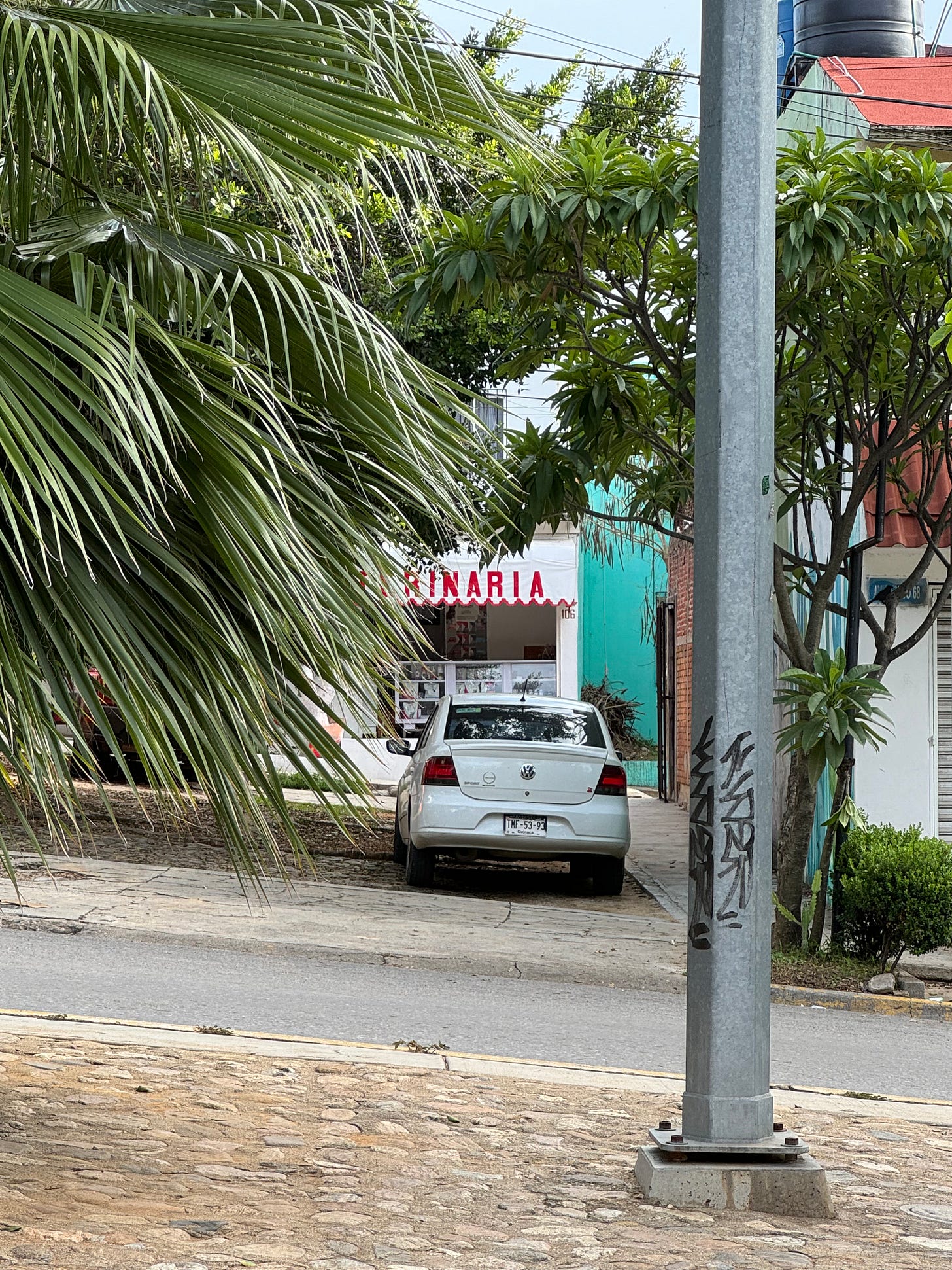 A vet's office, its sign obscured by a palm tree.