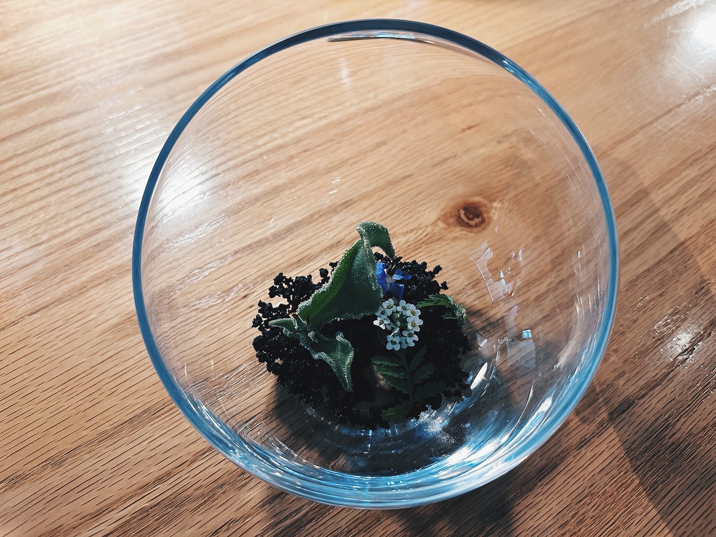 Fine dining dish from Brutø restaurant in Denver, featuring dark leafy greens in clear glass bowl with innovative presentation Fine dining dish from Brutø restaurant in Denver, featuring dark leafy greens in clear glass bowl with innovative presentation