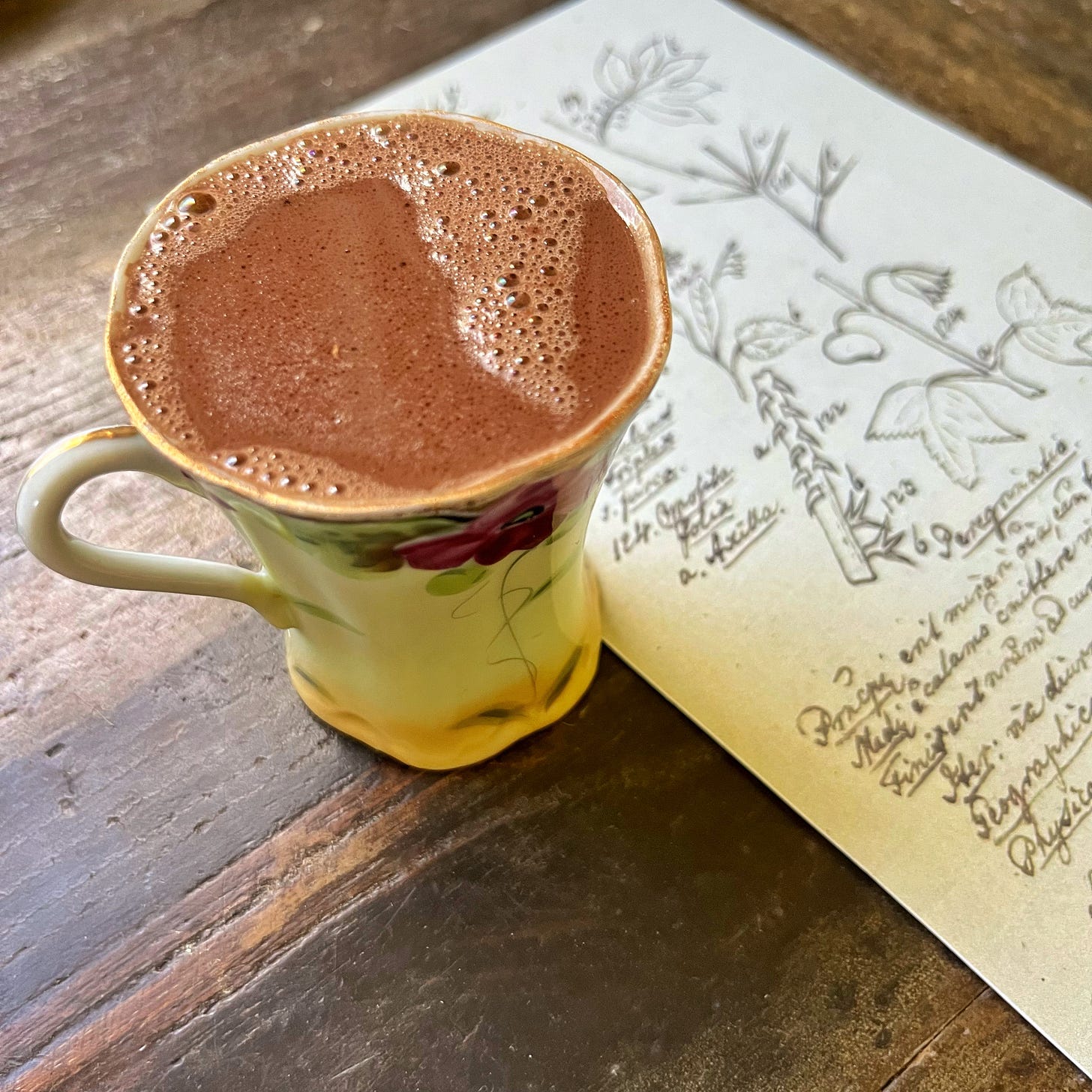 Porcelain cup filled with chocolate next to a page with botanical illustration