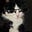 Angela in the reflection's avatar