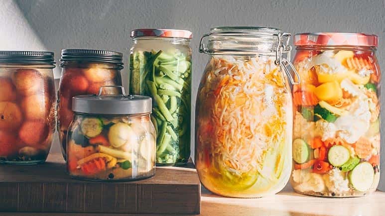 fermented foods mental health benefits