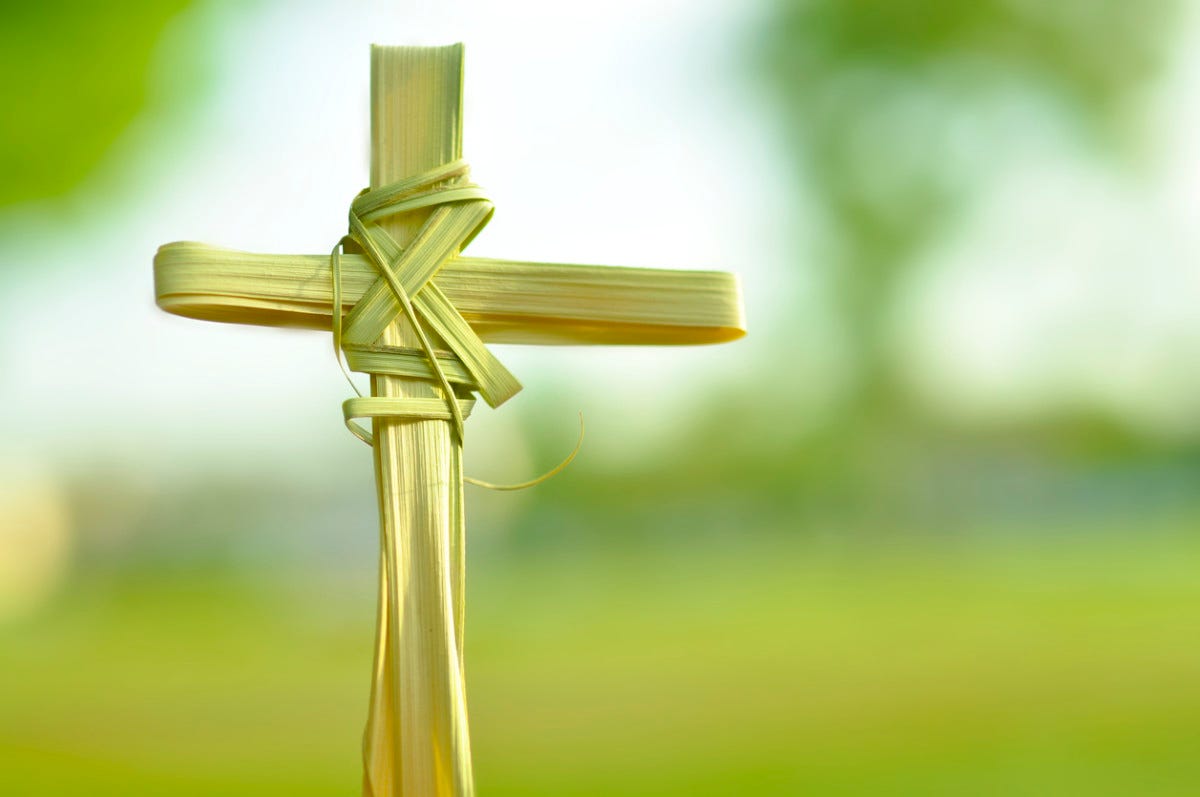 What Is Palm Sunday and Why Do We Celebrate It? - Parade: Entertainment,  Recipes, Health, Life, Holidays