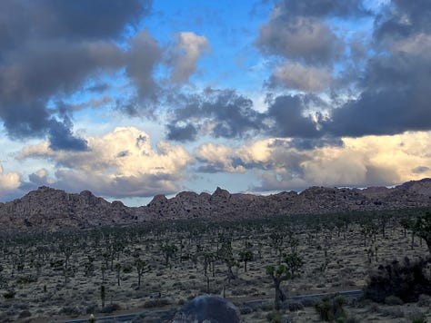 Joshua Trees, Boulders and rock outcroppings, Joshua Tree National Park Sign
