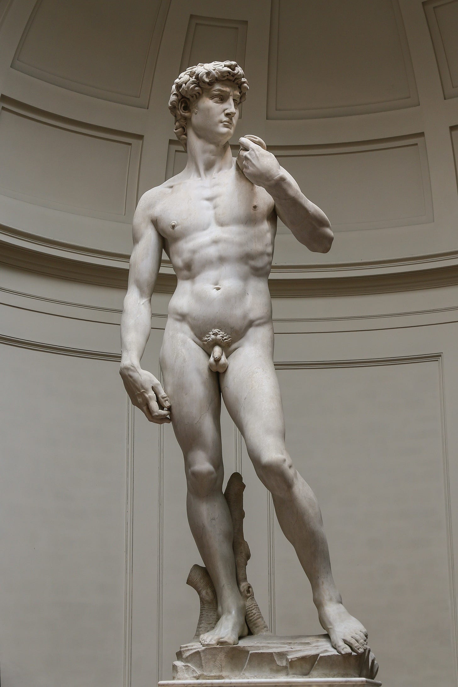 Photo of Michelangelo's David sculpture