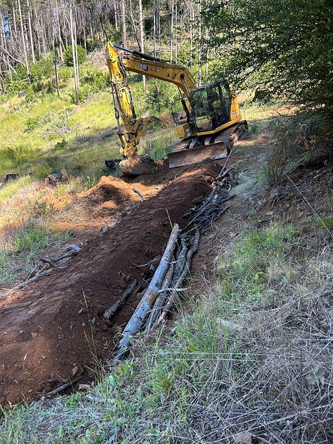 Hügelkultur project, Step 2