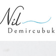 Nil Demircubuk's avatar