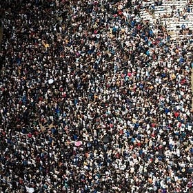 The Contrarian covers the Democracy Movement