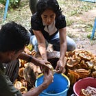 Ceremonial Grade Cacao is Ceremony's Subversion (Modern Farmer)