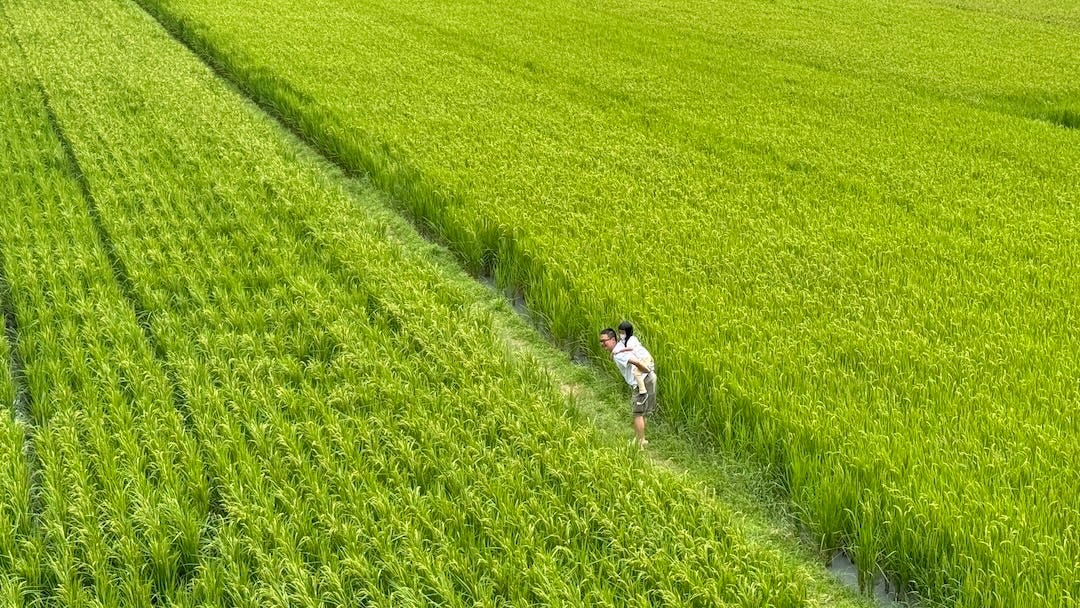 南花蓮北台東有什麼好吃好玩的 住在玉里一年後的心得