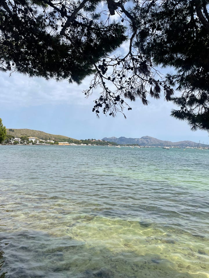 Https%3A%2F%2Fsubstack Post Media.s3.amazonaws.com%2Fpublic%2Fimages%2F62ca18b6 E28a 452d A679 7ab756dc584f 4032x3024