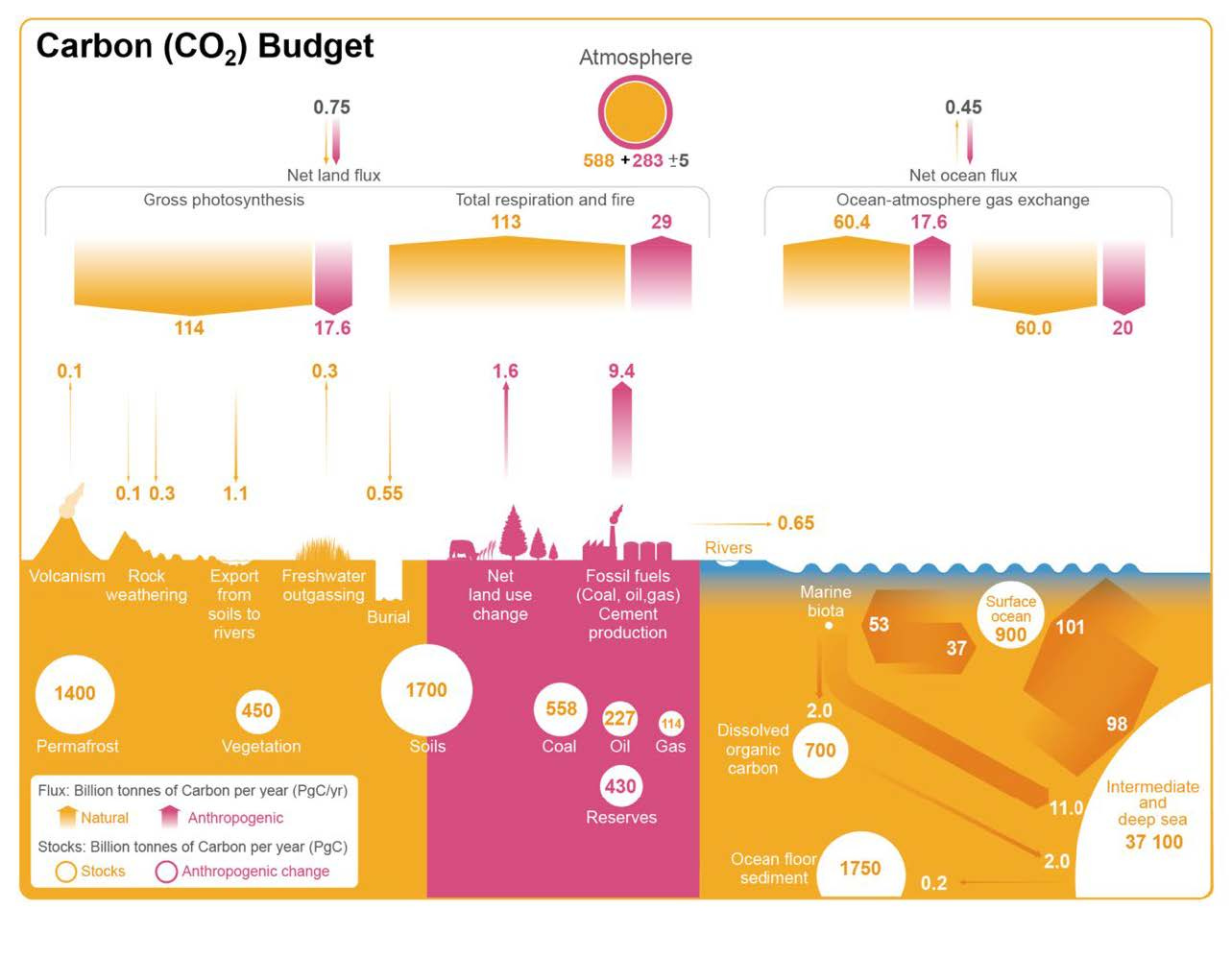 Carbon Cycle