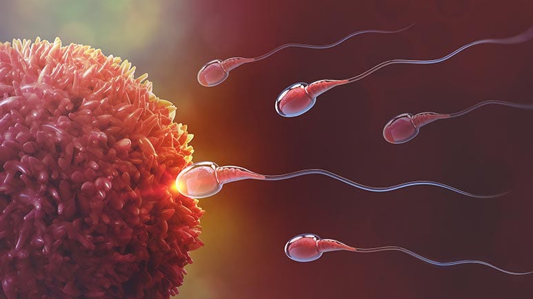 sperm count decline