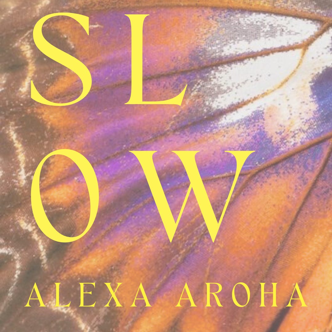 Slow medicine logo