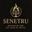 Senetru's avatar