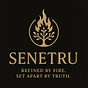 Senetru's avatar