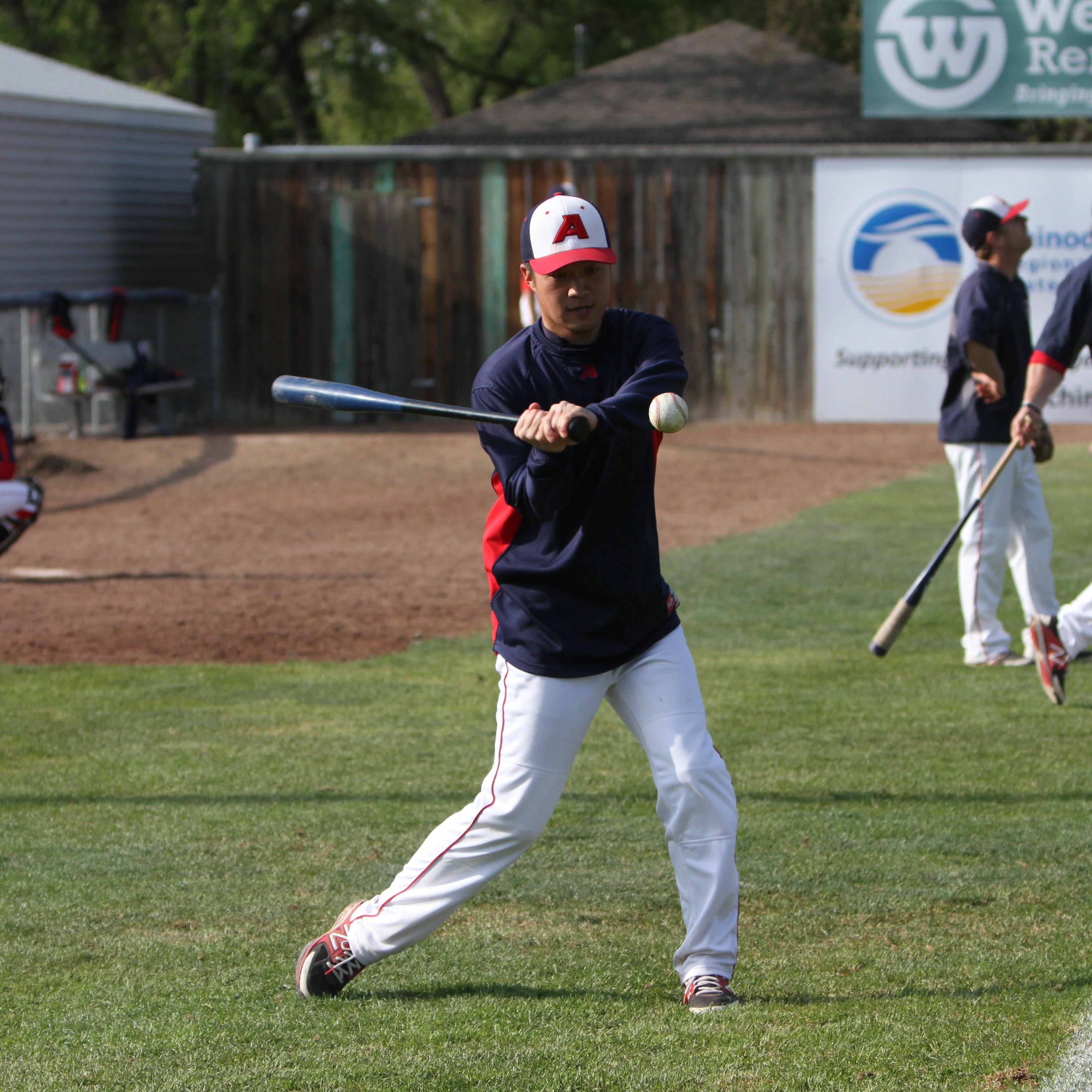 The Japan Baseball Playbook