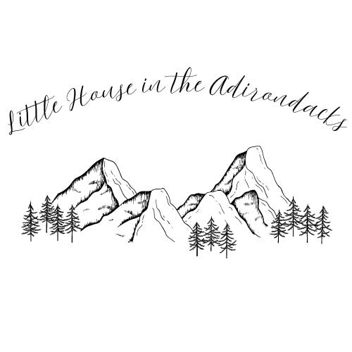 Little House in the Adirondacks