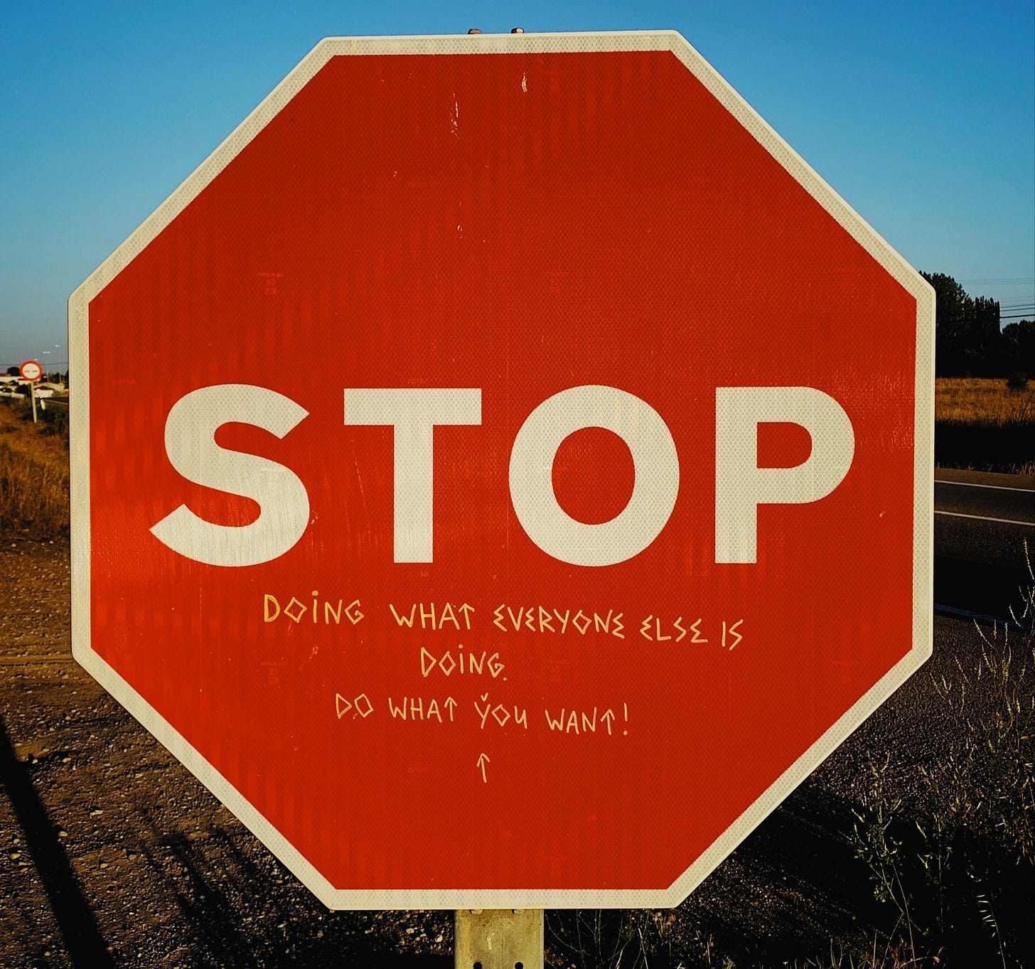 Red octagon Stop sign altered to read Stop doing what everyone else is doing. Do what you want! Red octagon Stop sign altered to read Stop doing what everyone else is doing. Do what you want!