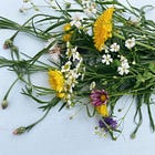 the [female] body: a compilation