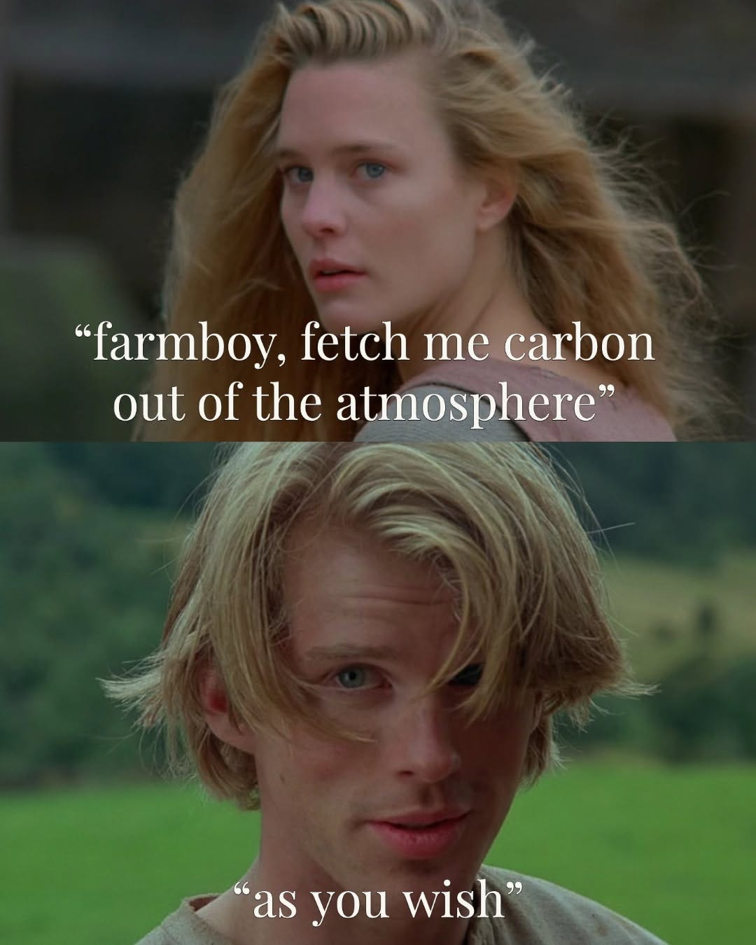 Two stills from The Princess Bride. Buttercup: "farmboy, fetch me carbon out of the atmosphere". Westley: "as you wish".