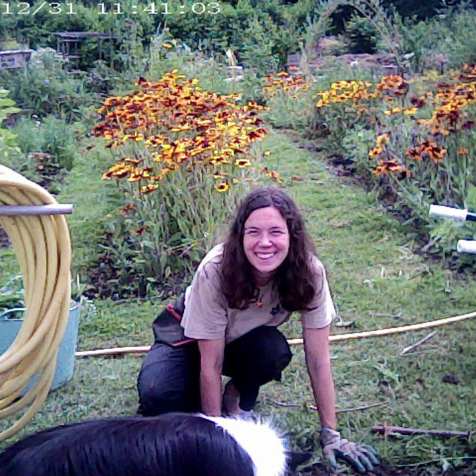 Filosofie van de koude grond