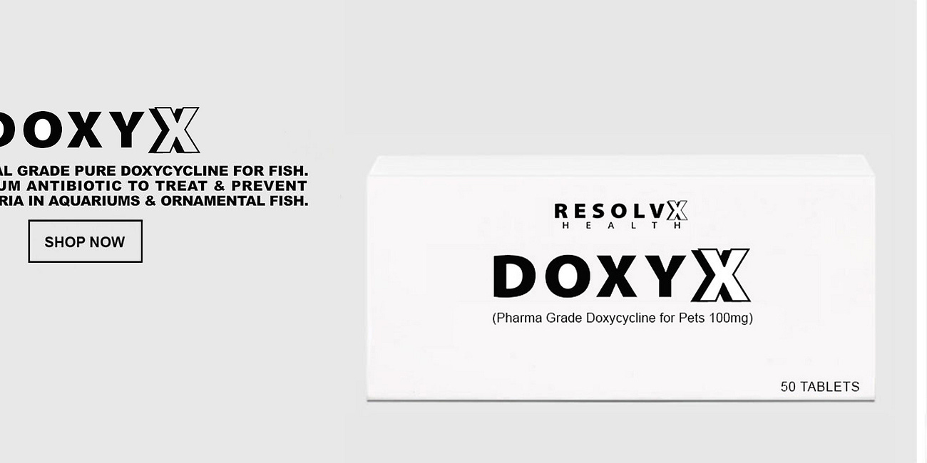 DOXYCYCLINE and CANCER: At Least 12 Anti-Cancer Mechanisms of Action