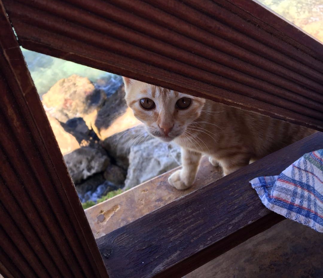 WeChat Image_20171022234323