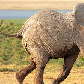 🟨 L'école, la presse locale et le livre tiennent encore